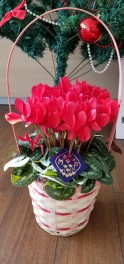 お花を頂きました！